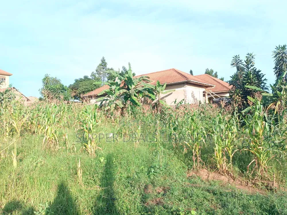 50by50ft Plot for Sale in Gayaza Kiwenda