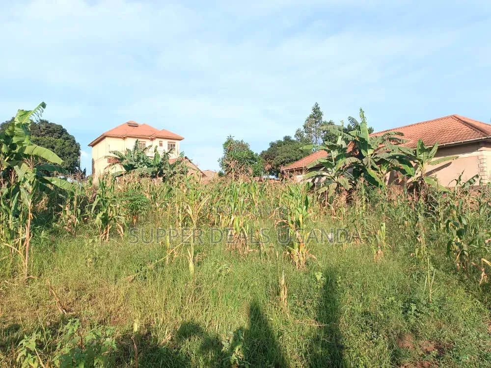 50by50ft Plot for Sale in Gayaza Kiwenda