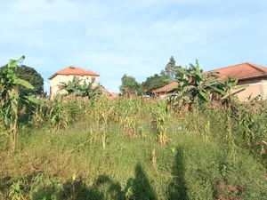 50by50ft Plot for Sale in Gayaza Kiwenda