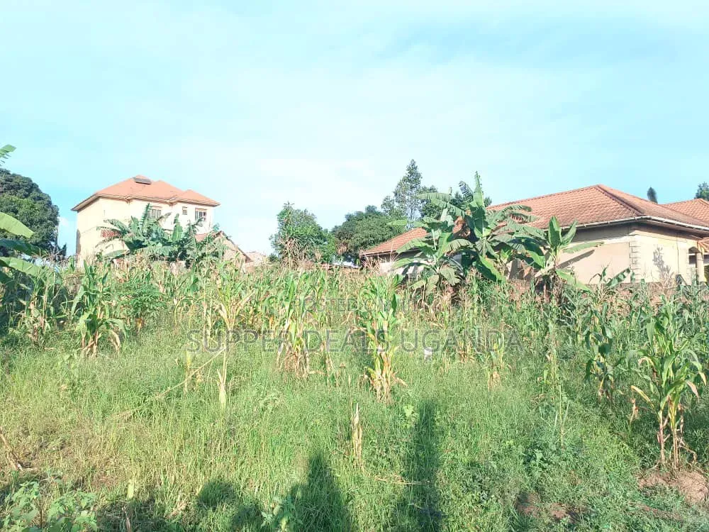 50by50ft Plot for Sale in Gayaza Kiwenda