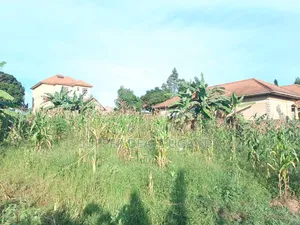 50by50ft Plot for Sale in Gayaza Kiwenda