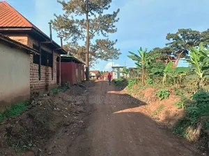 50by50ft Plot for Sale in Gayaza Kiwenda
