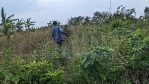 Titled Land for Sale in Kasasa Kibombo Gomba