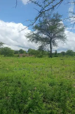 20 Acres of Land for Rent in Gayaza
