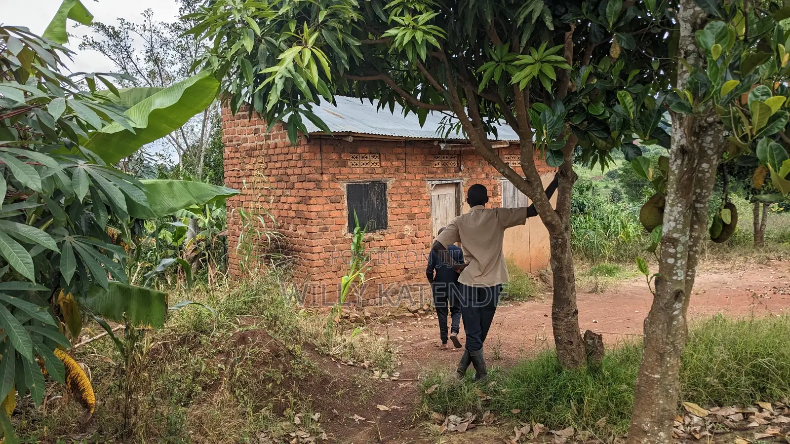 Land for Sale in Kasasa Kibombo (Half Acre) With a Double Room