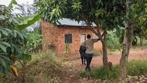 Land for Sale in Kasasa Kibombo (Half Acre) With a Double Room