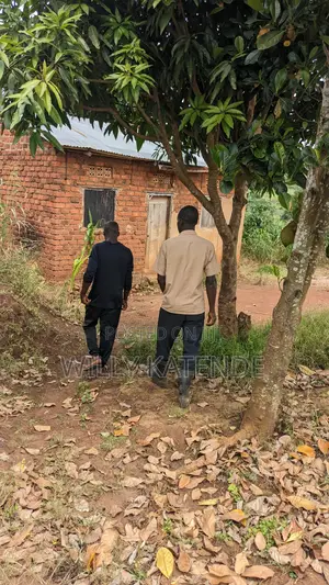 Land for Sale in Kasasa Kibombo (Half Acre) With a Double Room