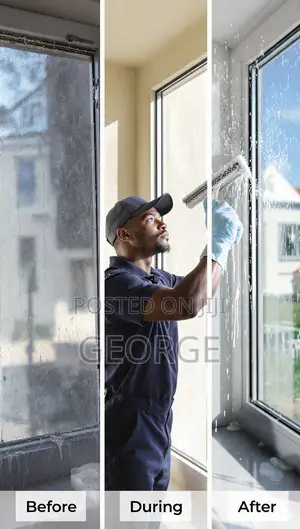 Professional Window Cleaning - Streak-Free Shine