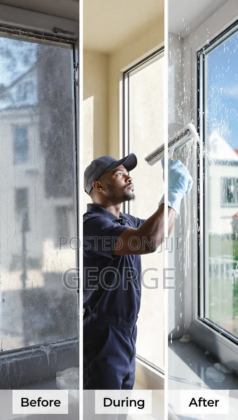 Professional Window Cleaning - Streak-Free Shine