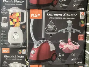 Garment Steamer