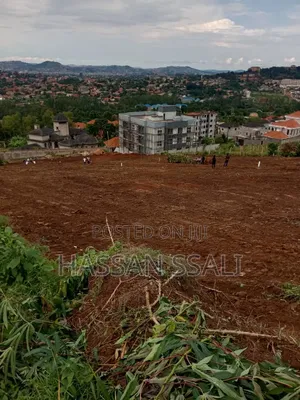 Prime Plots for Sale