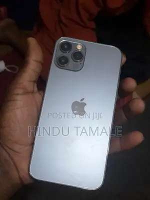 Apple iPhone 12 Pro 128 GB Gray