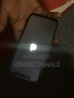 Apple iPhone 12 Pro 128 GB Gray
