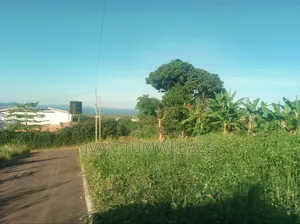 50 Decimals Lake View For Sale In Kajansi