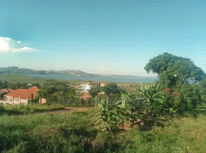 50 Decimals Lake View For Sale In Kajansi