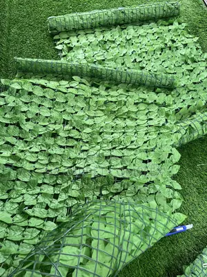 Balcony Plants Each Bunch 3 Meters Long