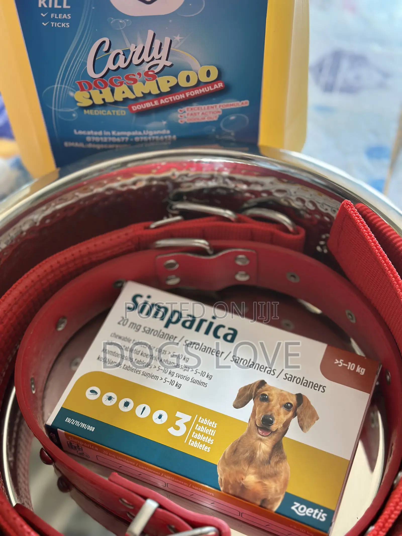 Dewormer for Dogs
