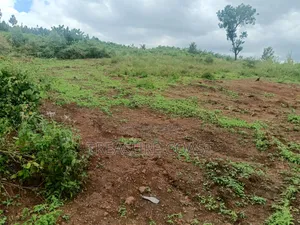 4 Acres of Hill View Land at Nakawuka Entebbe Road