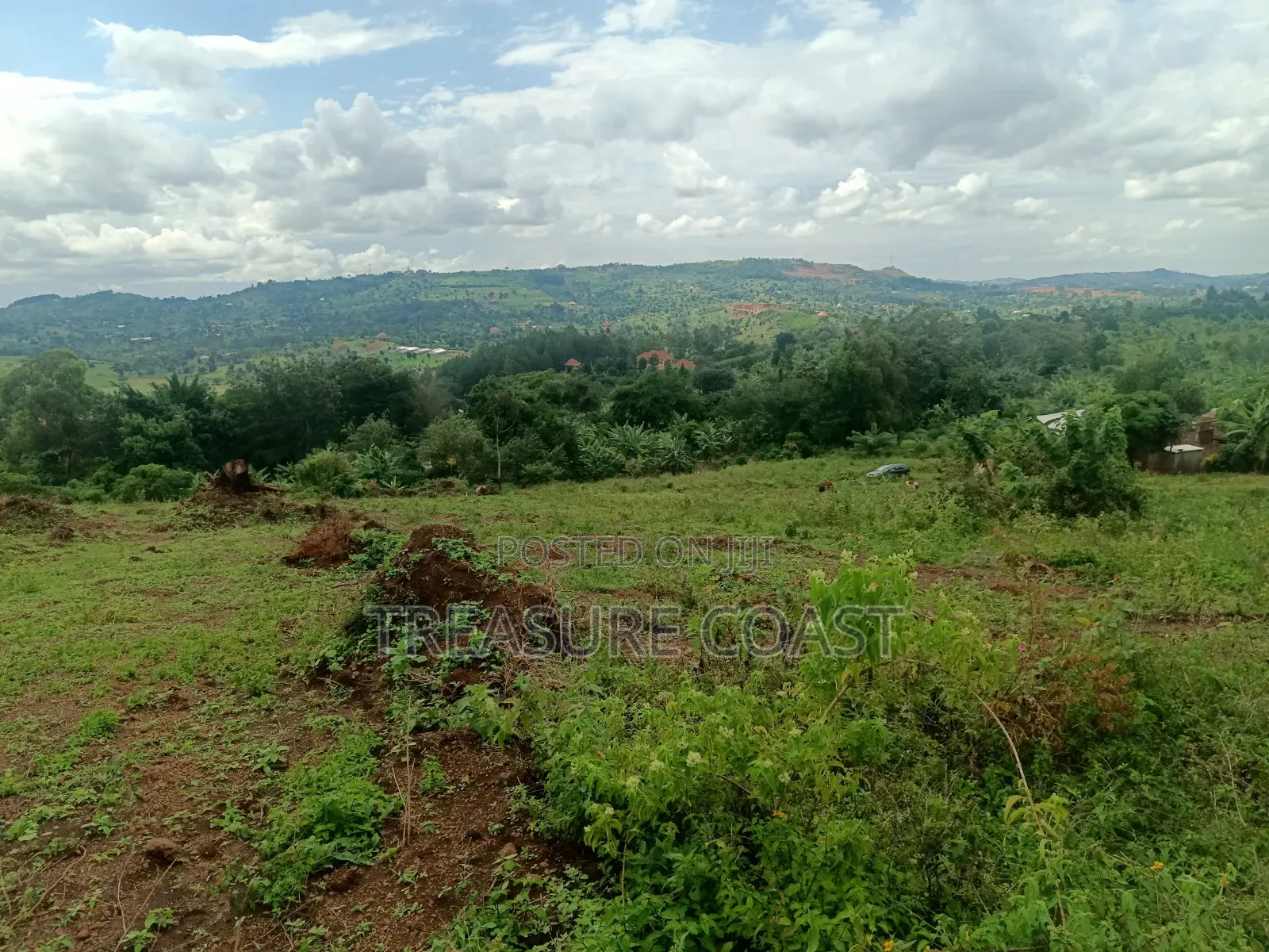 4 Acres of Hill View Land at Nakawuka Entebbe Road