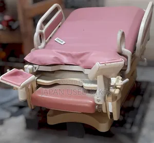 Electric Delivery Bed
