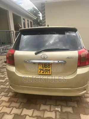 Toyota Allex 2002 Gold