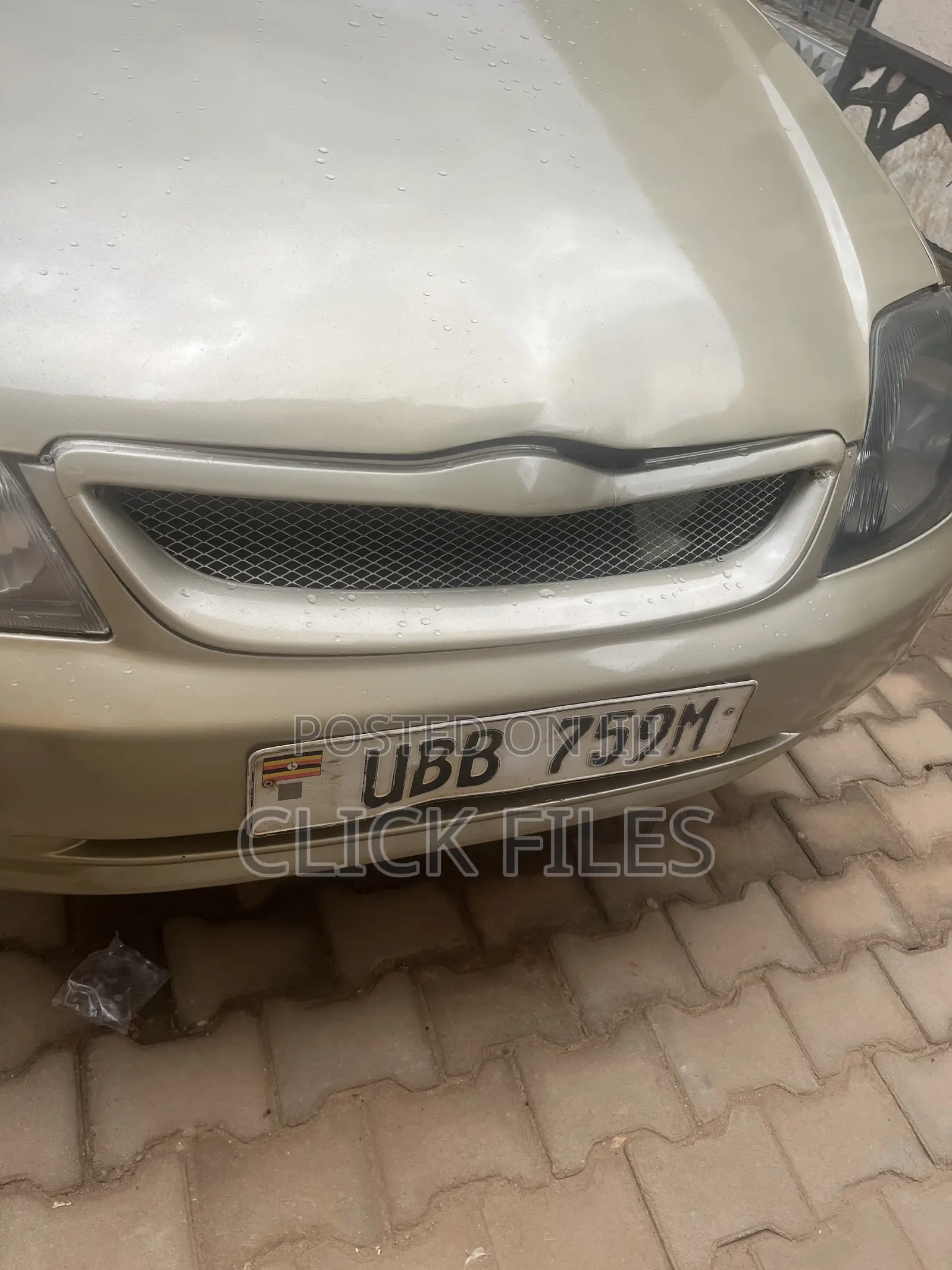 Toyota Allex 2002 Gold
