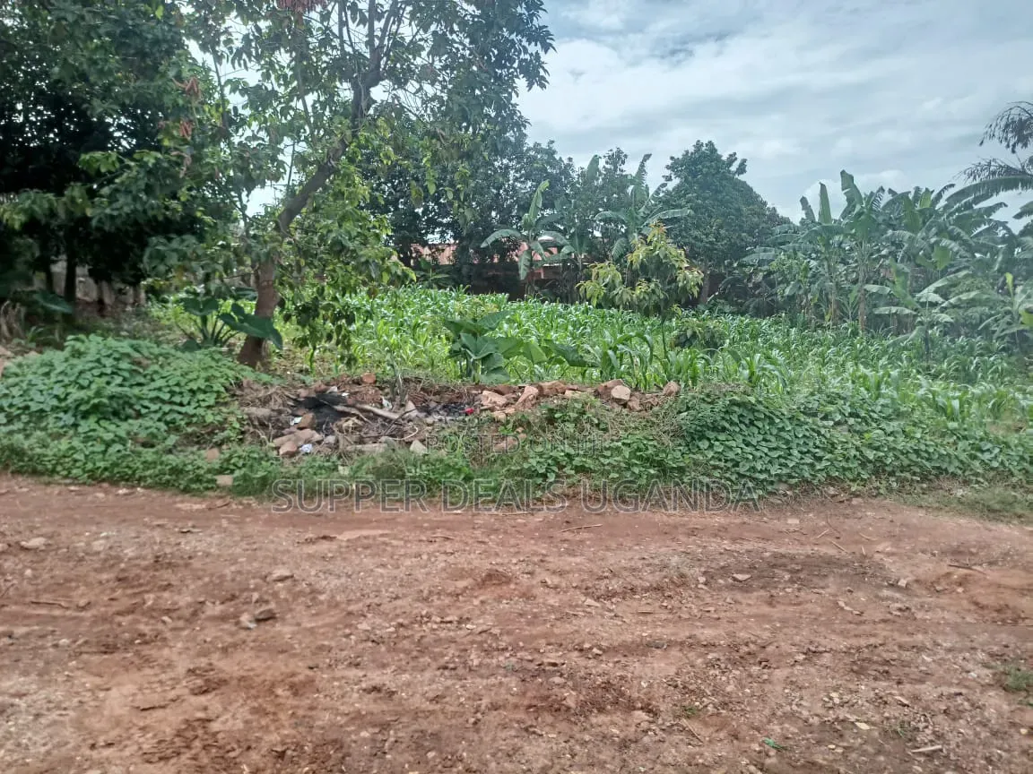 100by50ft Plot for Sale Located Kira