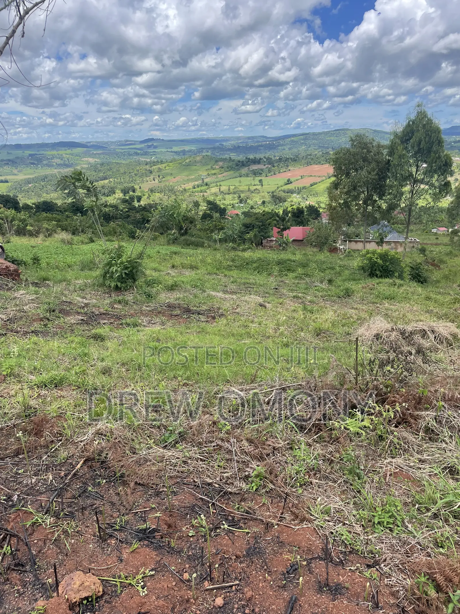 Plot for Sale With a Title in Mukono-Mbalala- Jomayi