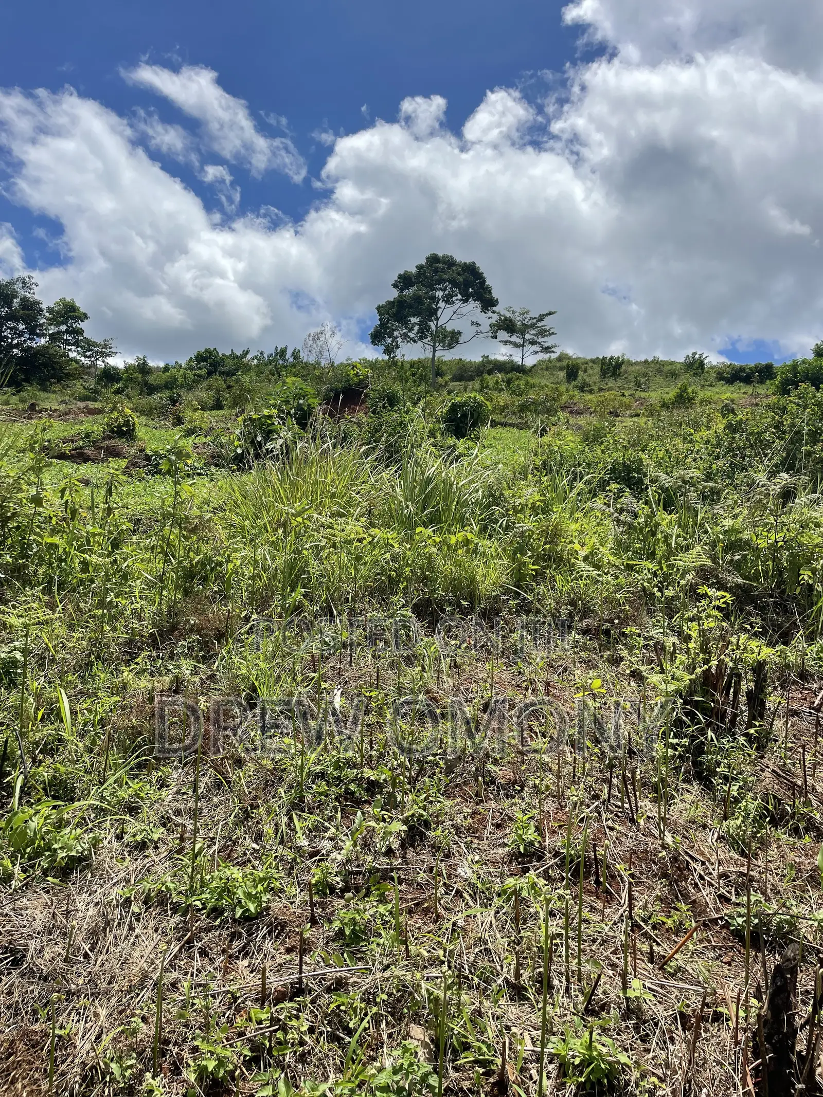 Plot for Sale With a Title in Mukono-Mbalala- Jomayi