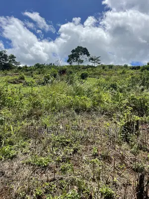Plot for Sale With a Title in Mukono-Mbalala- Jomayi