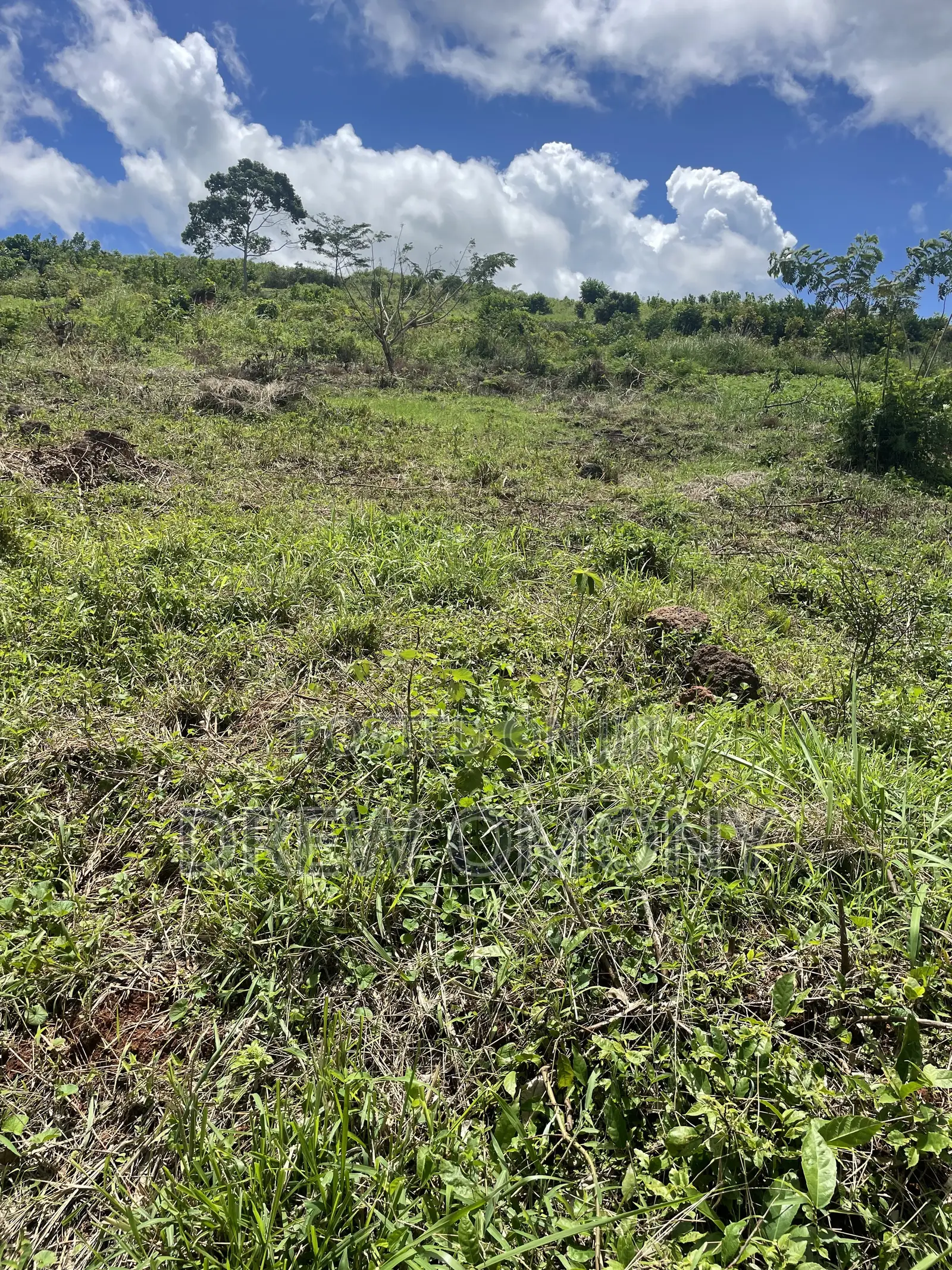 Plot for Sale With a Title in Mukono-Mbalala- Jomayi