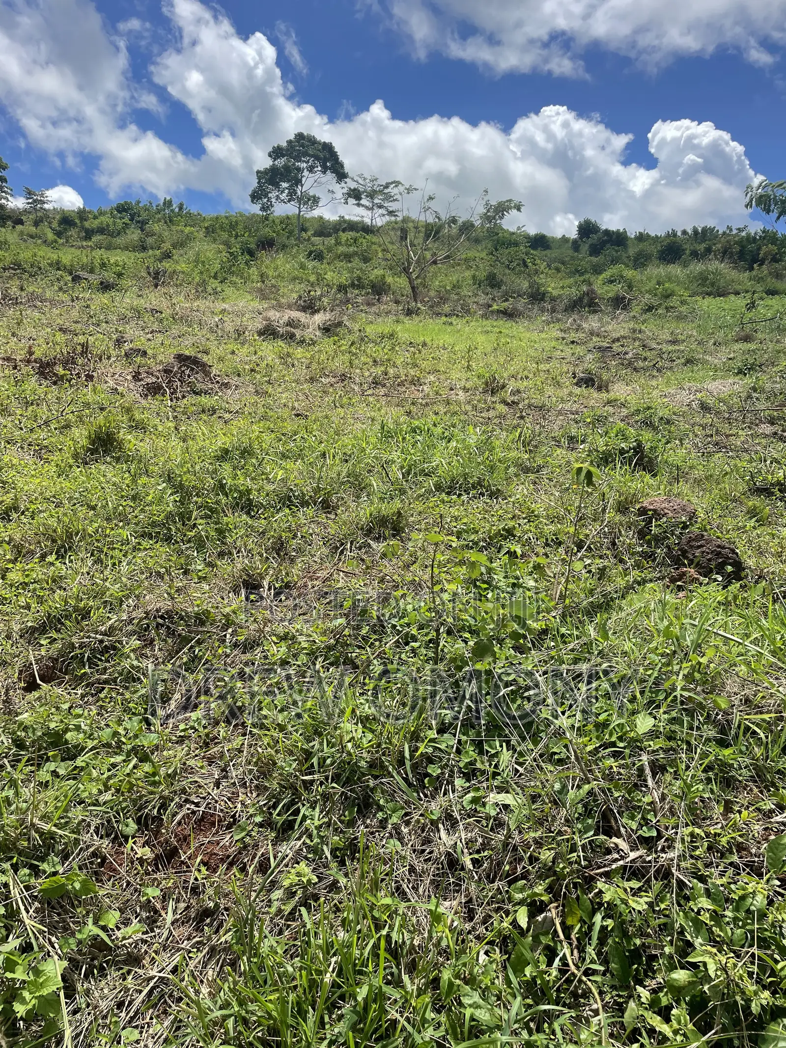 Plot for Sale With a Title in Mukono-Mbalala- Jomayi
