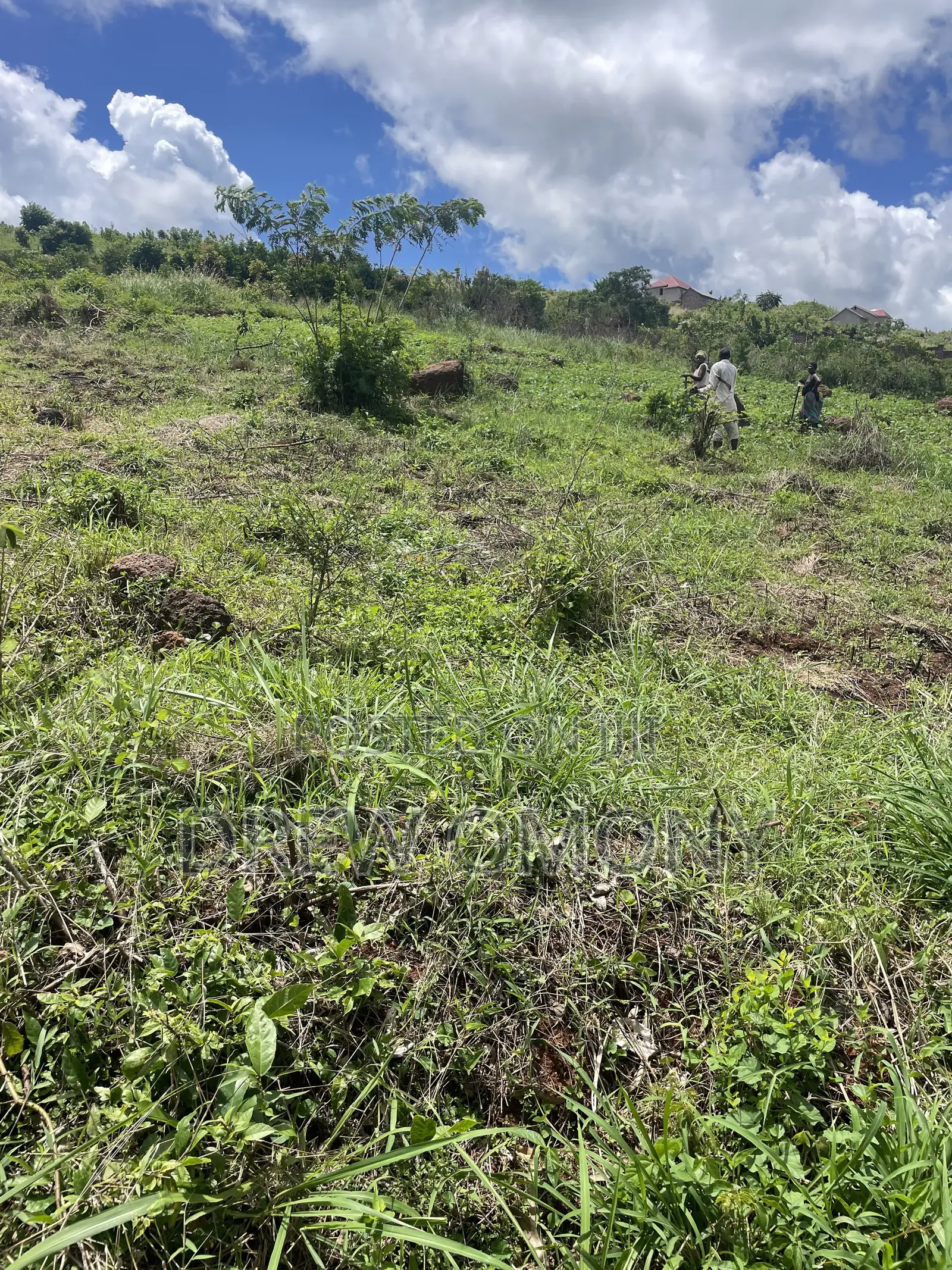 Plot for Sale With a Title in Mukono-Mbalala- Jomayi
