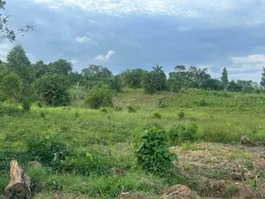 Plot on Sale at Kajjansi Sissa