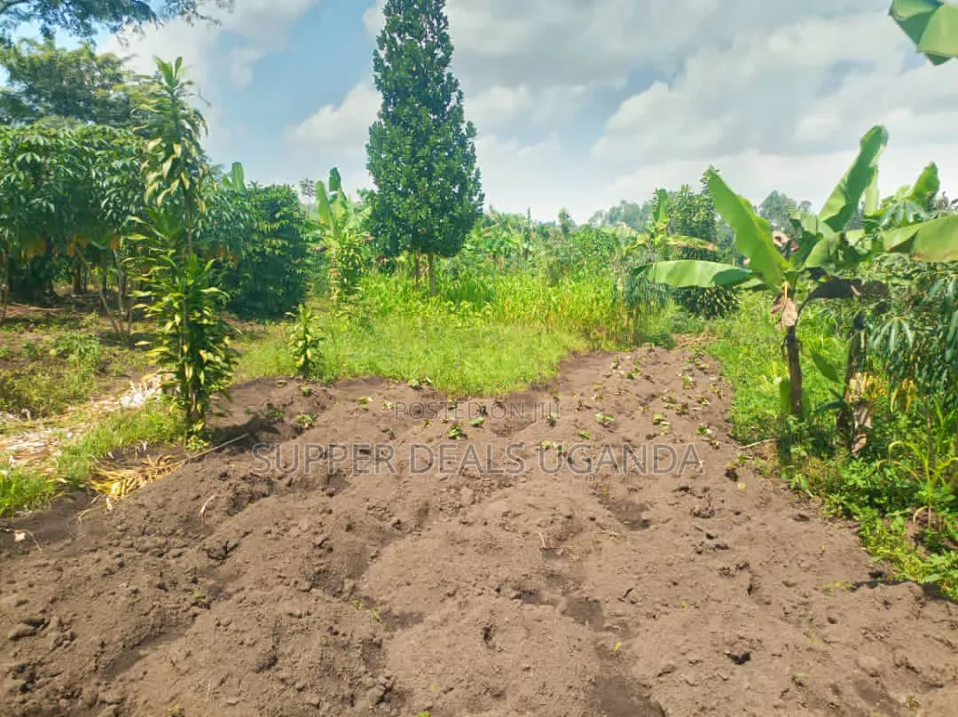 1 Acre of Land for Sale in Gayaza