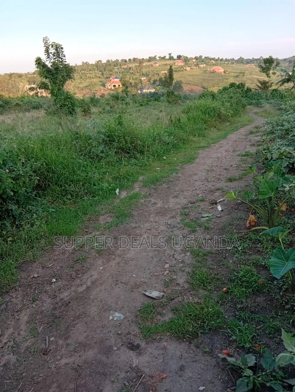1 Acre of Land for Sale in Gayaza