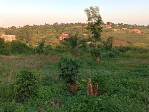 1 Acre of Land for Sale in Gayaza