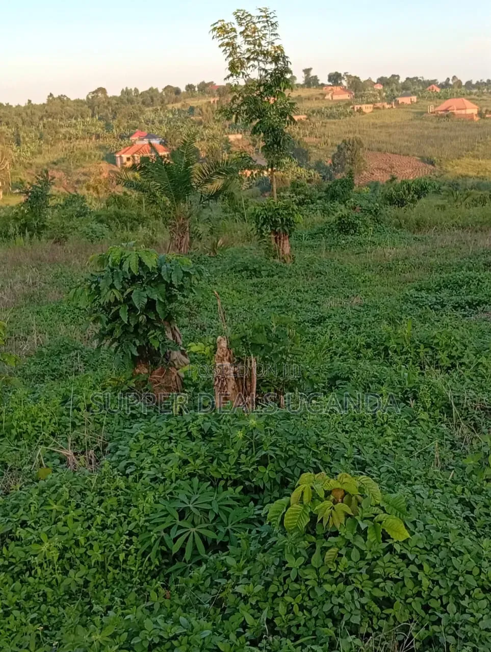 1 Acre of Land for Sale in Gayaza