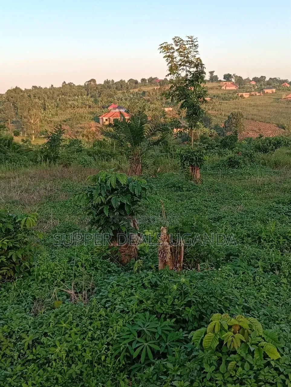 1 Acre of Land for Sale in Gayaza