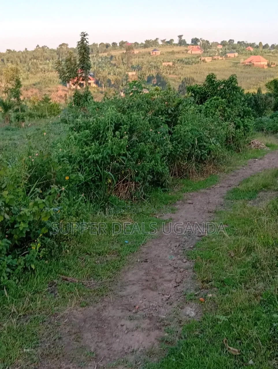 1 Acre of Land for Sale in Gayaza