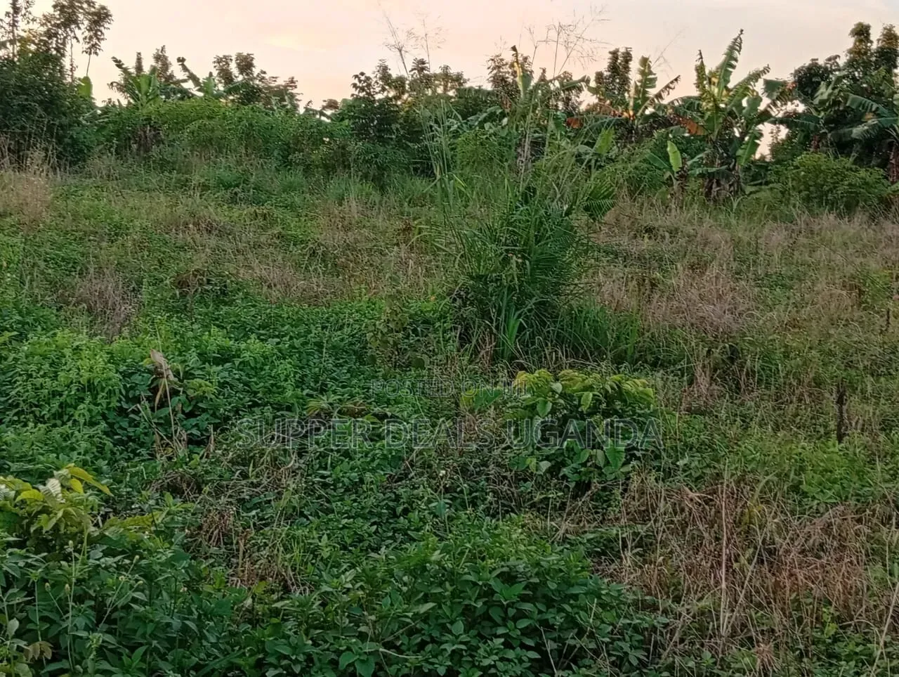 1 Acre of Land for Sale in Gayaza