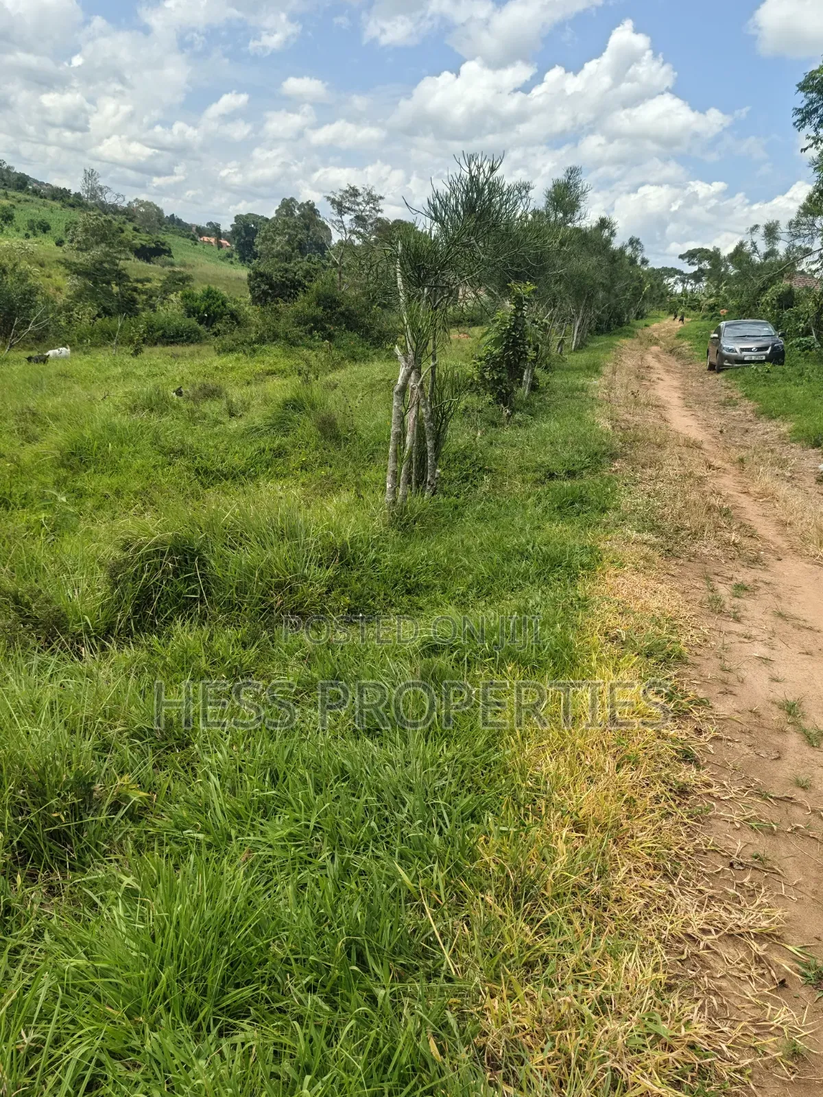 68decimals of Land on Sale Located in Misandika-Kyenjojo Town Council