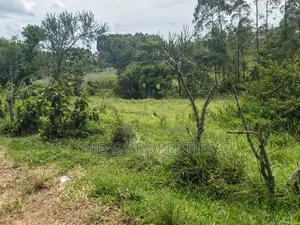 68decimals of Land on Sale Located in Misandika-Kyenjojo Town Council