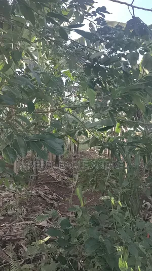 2bdrm House in Buwama for sale