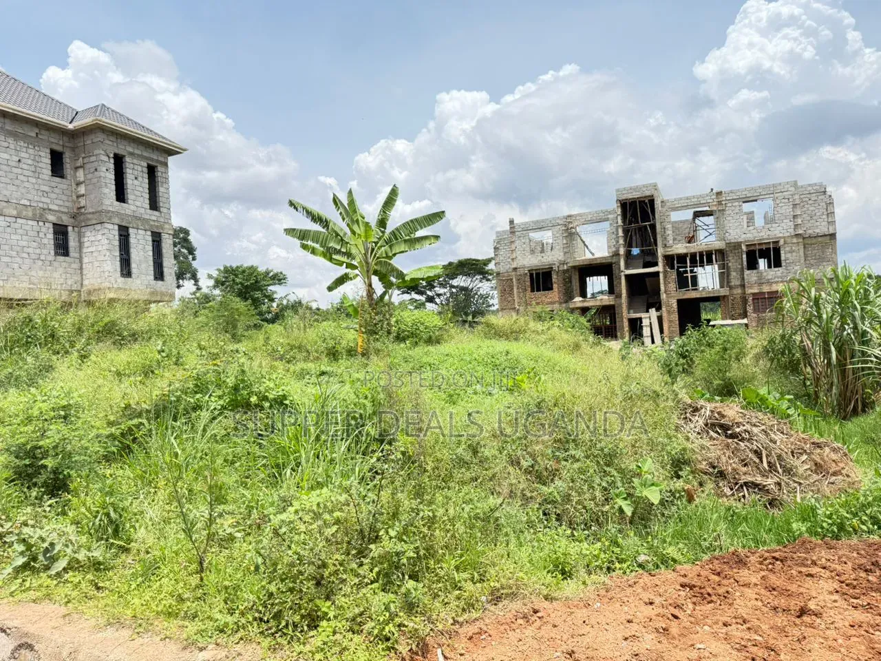 100by50ft Plot for Sale in Buwate
