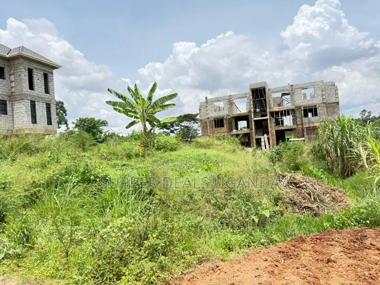 100by50ft Plot for Sale in Buwate