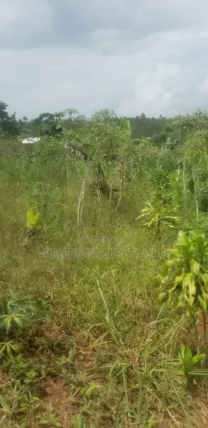 50*50 Plot for Sale