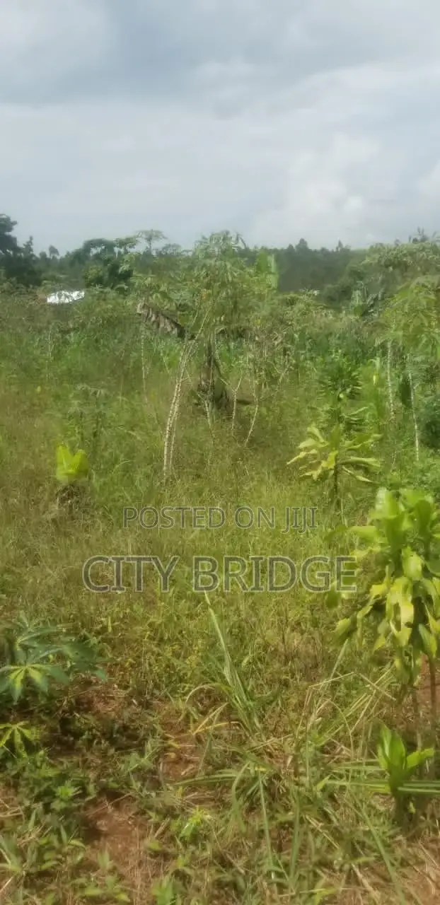 50*50 Plot for Sale