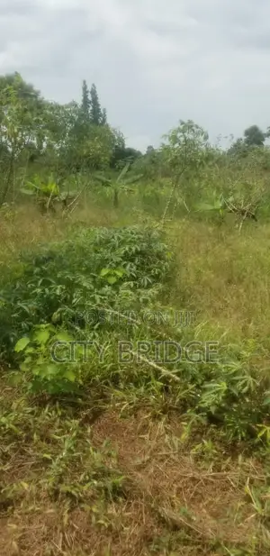 50*50 Plot for Sale