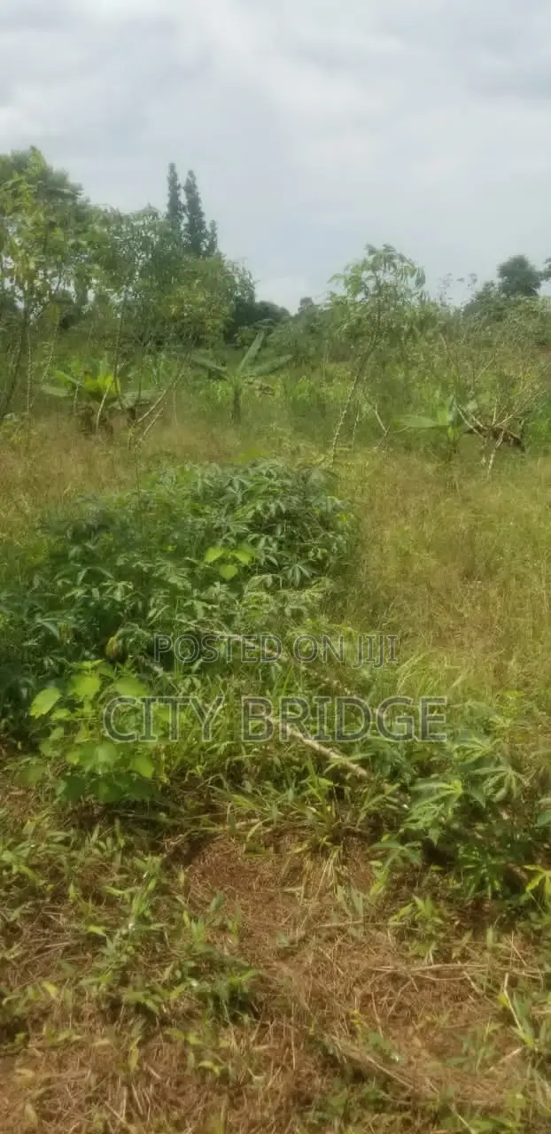 50*50 Plot for Sale